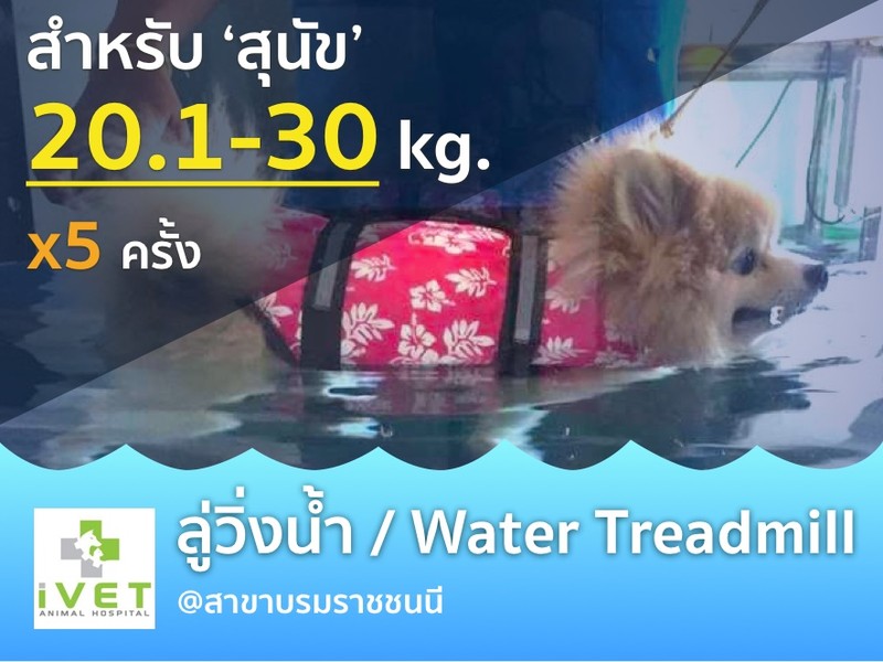 ลู่วิ่งน้ำ 5+1 ครั้ง ลู่วิ่งน้ำ 5+1 ครั้ง