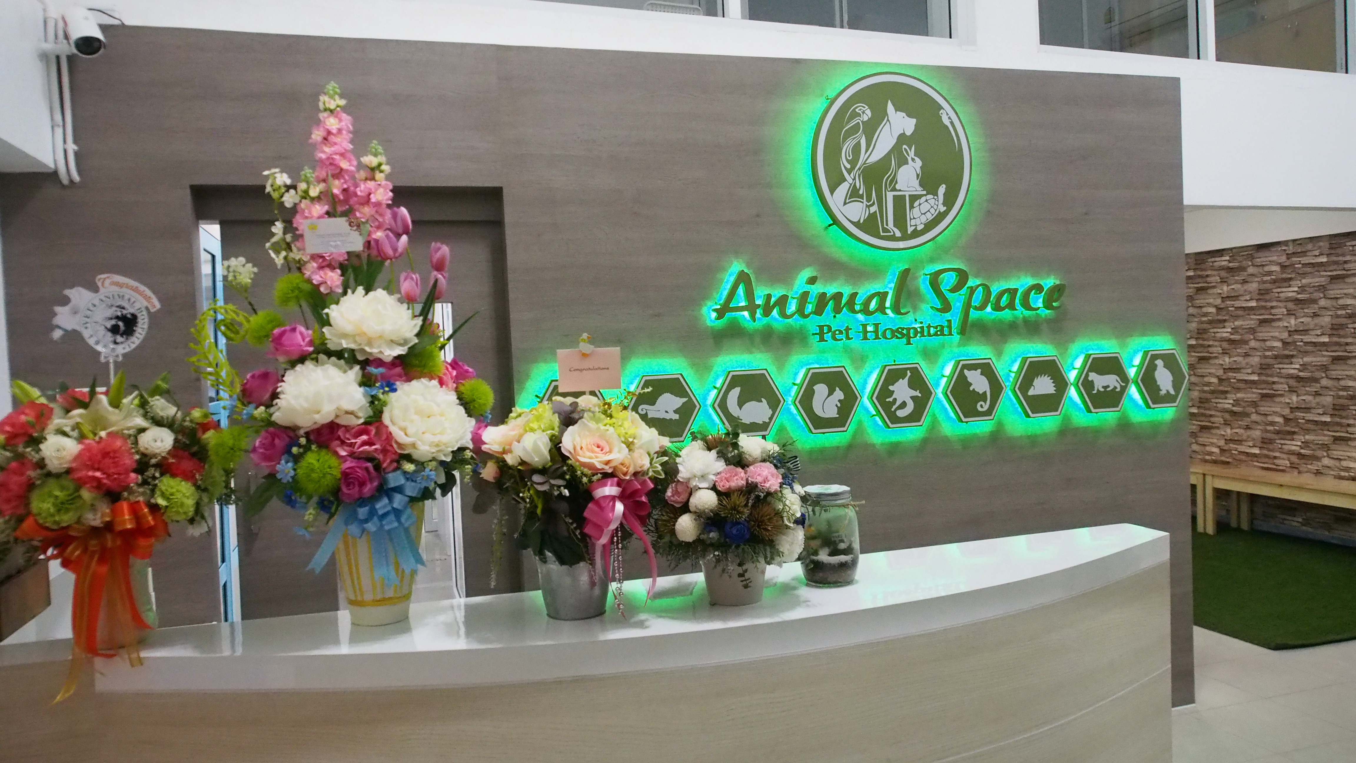 โรงพยาบาลสัตว์ Animal Space